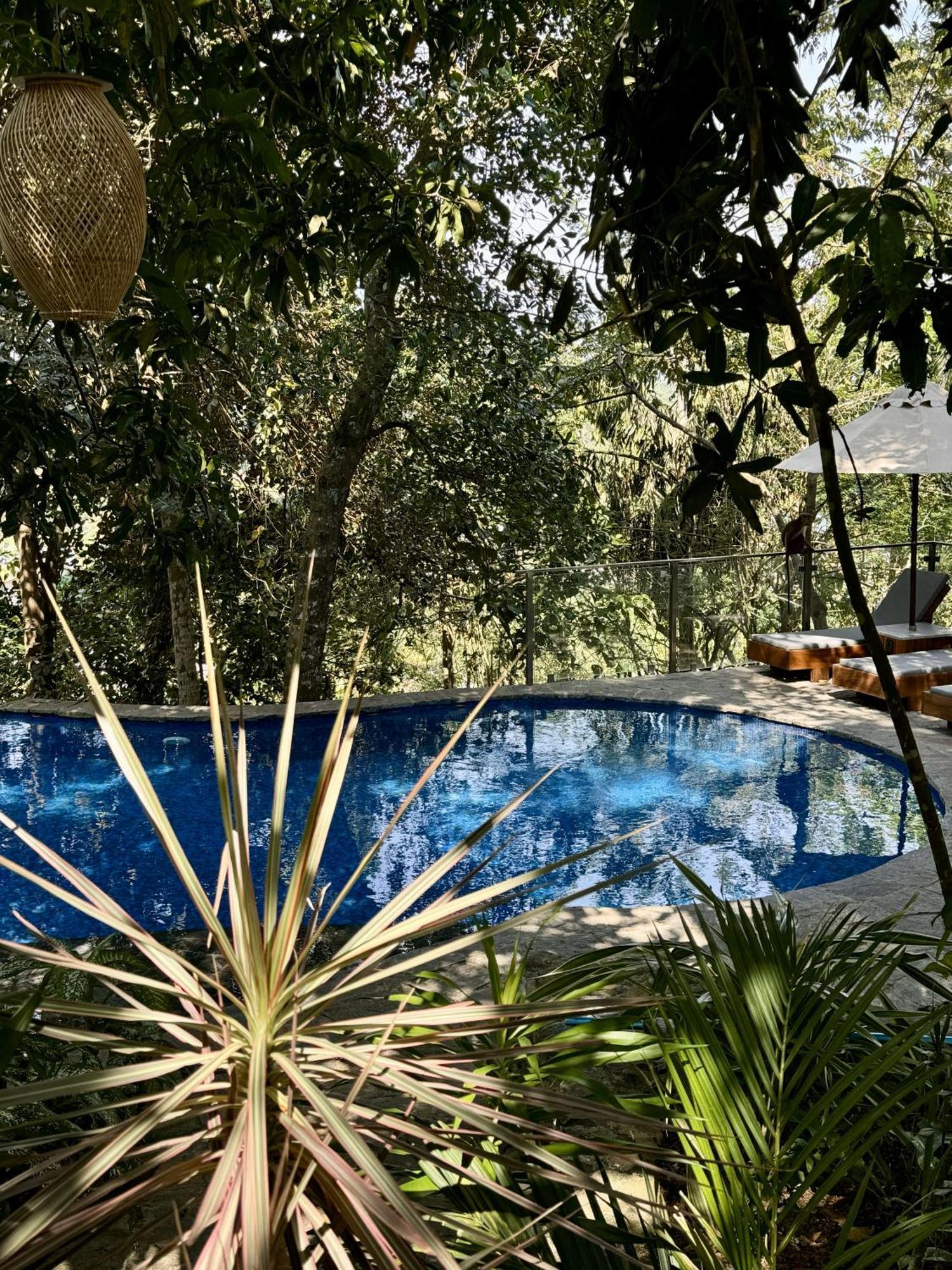 Coastline Mirissa Boutique Hotel And Spa المظهر الخارجي الصورة
