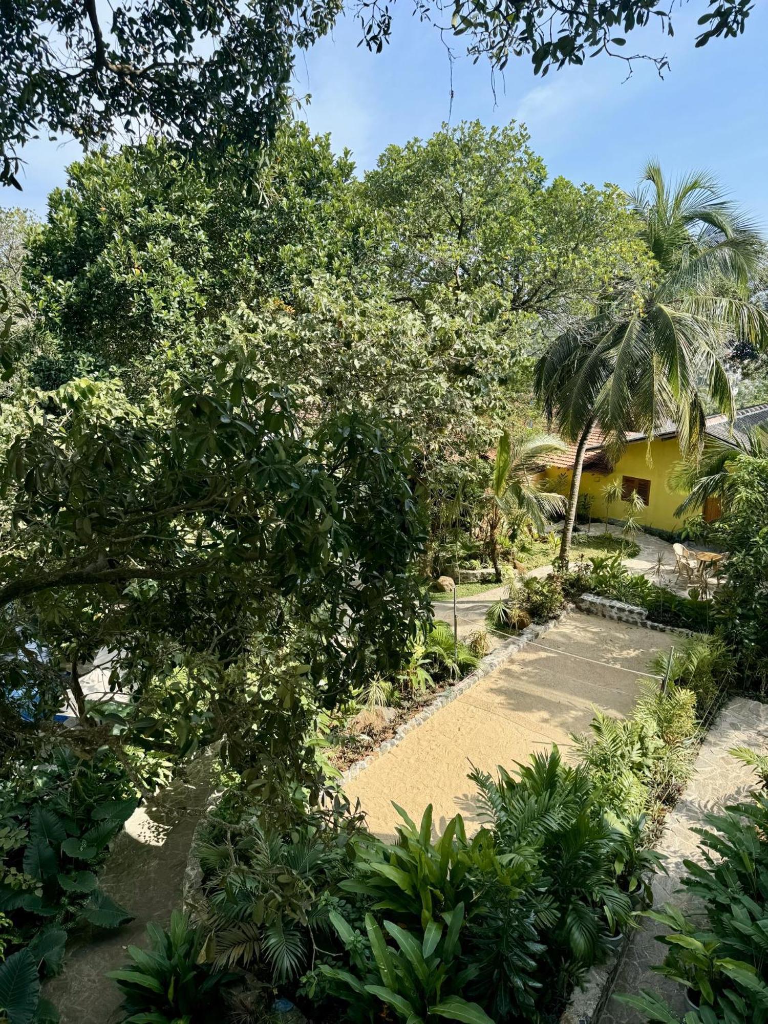Coastline Mirissa Boutique Hotel And Spa المظهر الخارجي الصورة