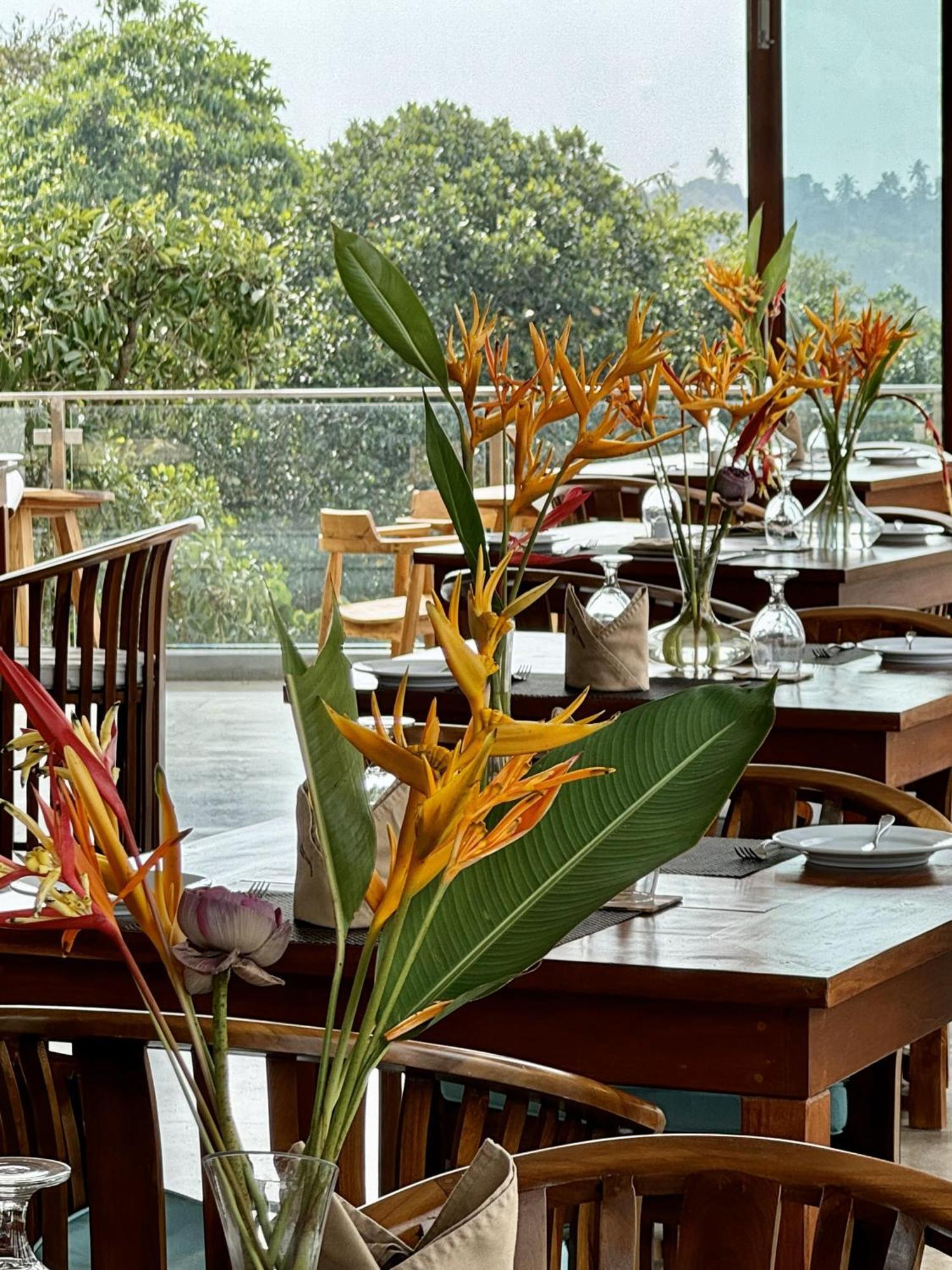 Coastline Mirissa Boutique Hotel And Spa المظهر الخارجي الصورة