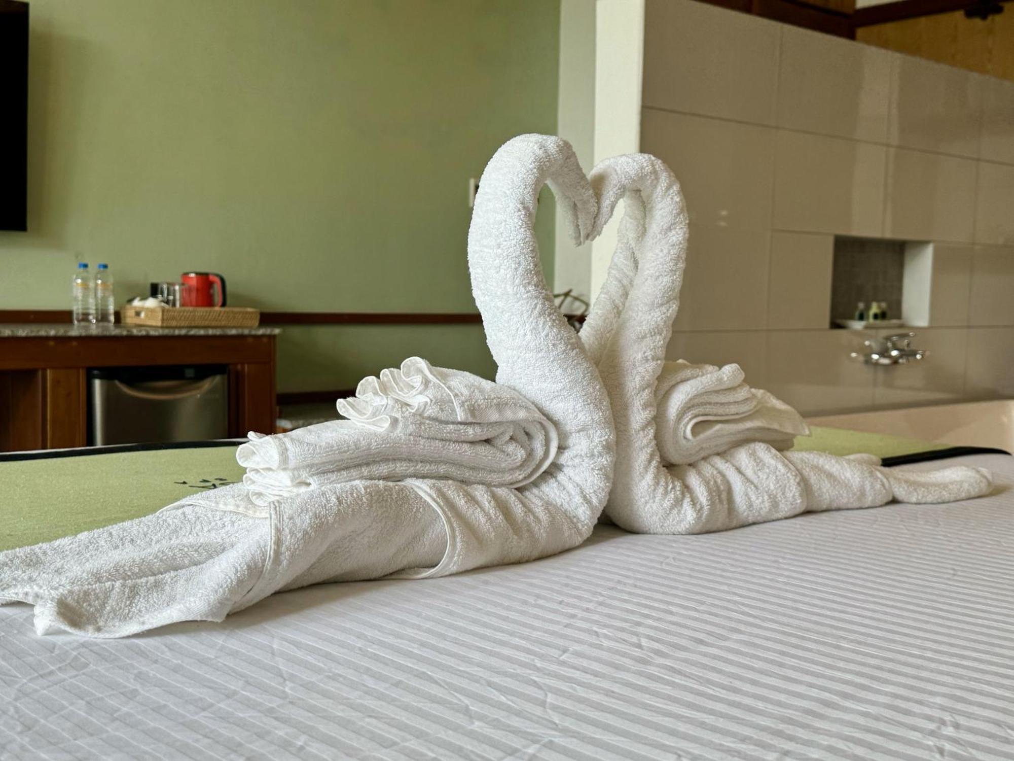 Coastline Mirissa Boutique Hotel And Spa الغرفة الصورة